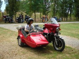 11motoduck43