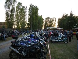 11motoduck74