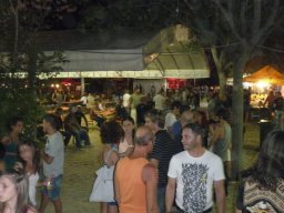 p1050338
