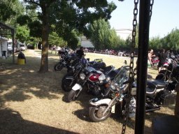 DSCF2685