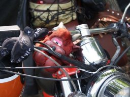 21-motoduck-2018-77