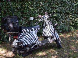 21-motoduck-2018-827