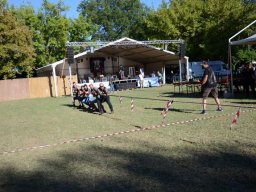 IMG-20220821-WA0116