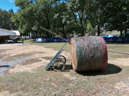 IMG_20220819_135535
