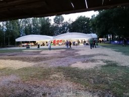 IMG_20220819_202608