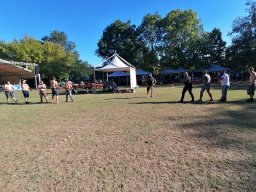 IMG_20220820_173258