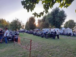 IMG-20240824-WA0019